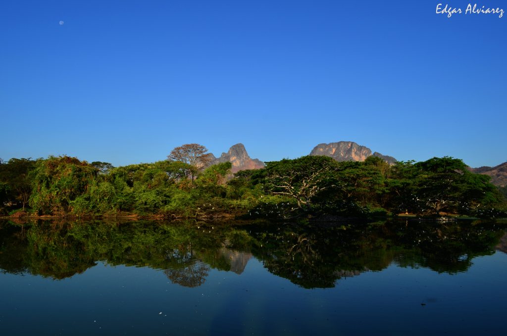 Guárico - Guárico